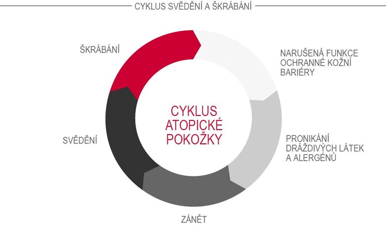 Cyklus atopické pokožky (cyklus svědění a škrábání)
