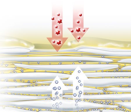 Obrázek vypařování přirozených hydratačních faktorů z pokožky