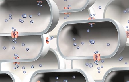 Obrázek sníženého množství aquaporinů