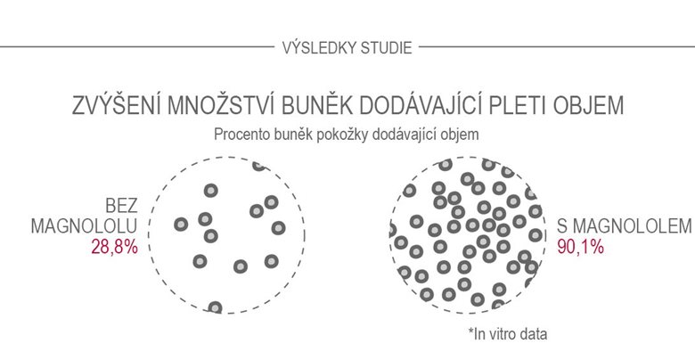 Magnolol pomáhá zvyšovat množství buněk, které dodávají pleti objem