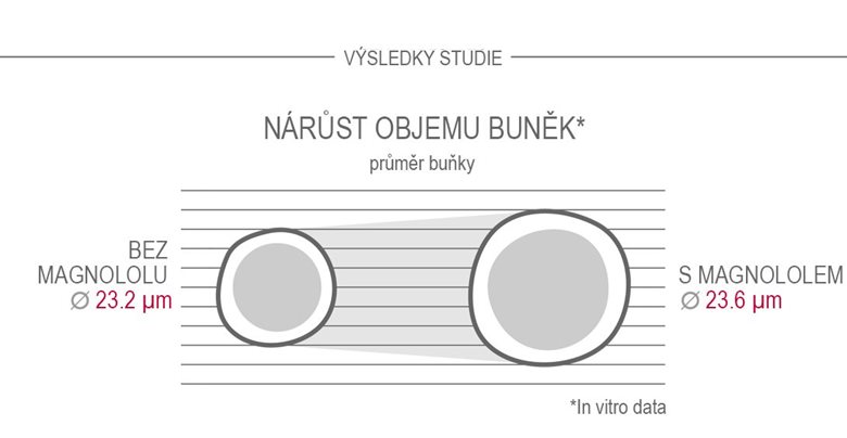 Magnolol zvětšuje objem buněk